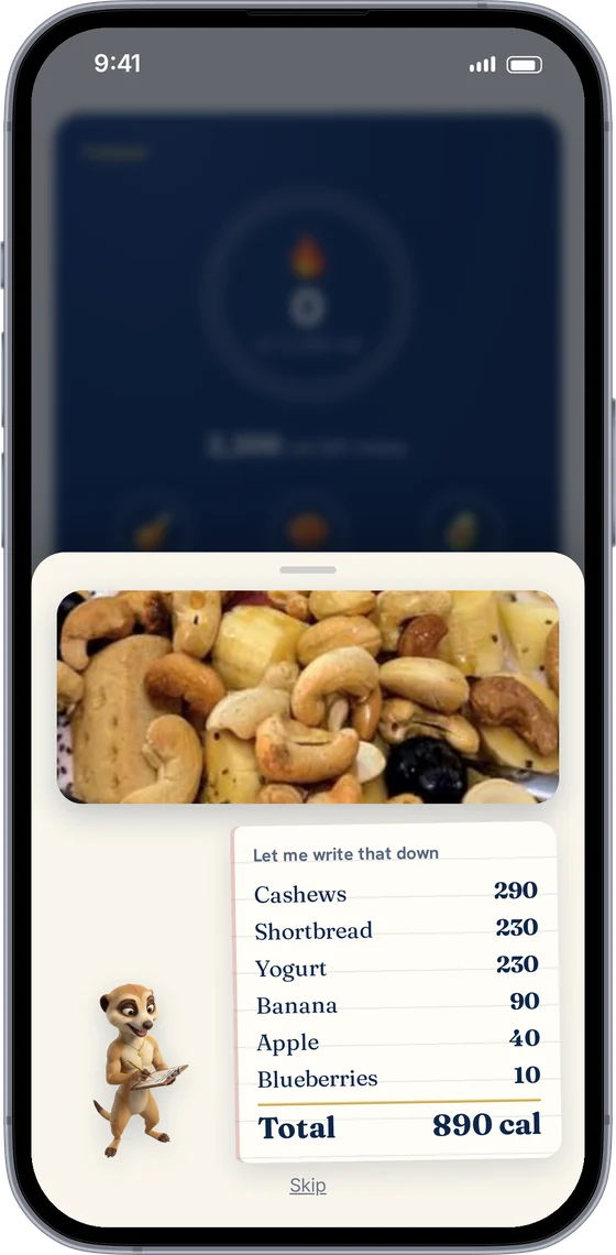 Snap a meal: a photo of a snack with each item and its calories listed