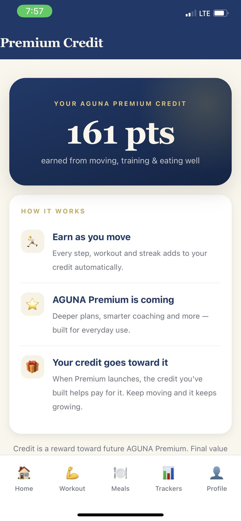 AGUNA Premium Credit balance
